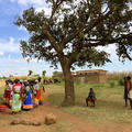 malawi project